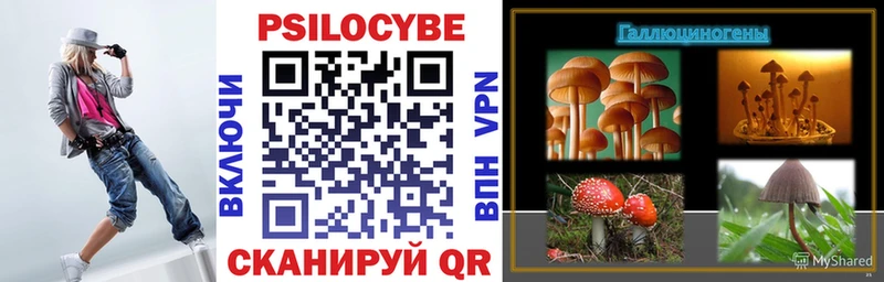 площадка наркотические препараты Кукмор Галлюциногенные грибы Psilocybe купить
